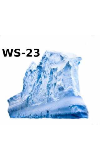 Малайзийский кулер WS-23 10мл