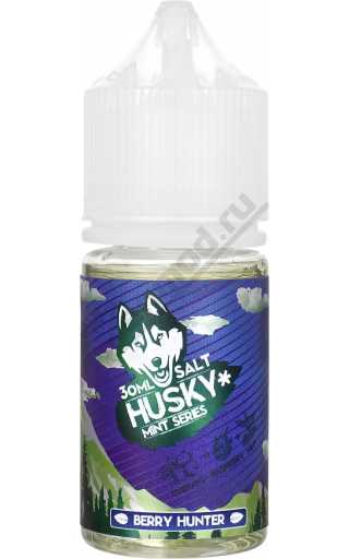 HUSKY Mint Series SALT - Berry Hunter 30мл
