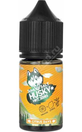 HUSKY Mint Series SALT - Citrus Days 30мл