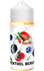 NICE - Menthol Berries 100мл